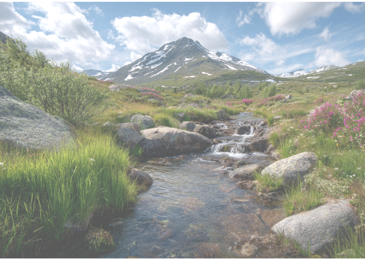 A picturesque landscape featuring a mountain stream surrounded by vibrant greenery and colorful wildflowers under a